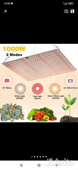 Фитолампа для растений