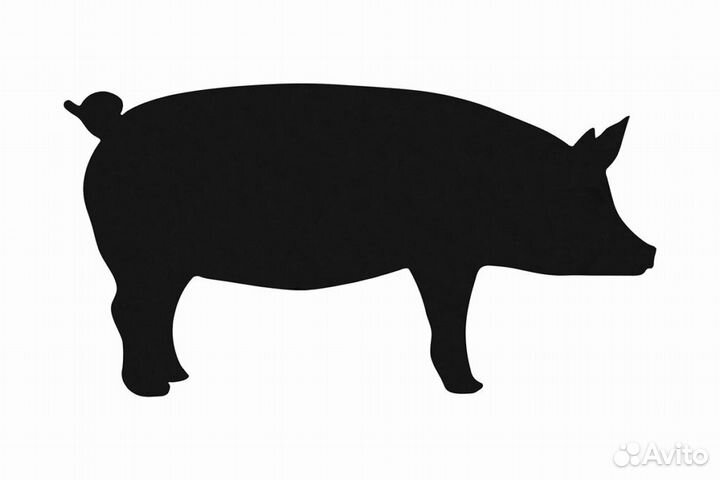 Продается мясо свинина домашнее