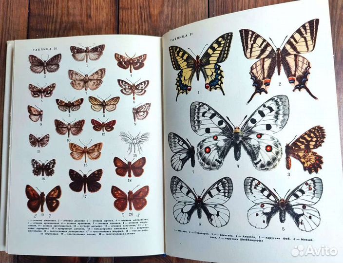 5 книг разных, насекомые, рыбы, животные, мхи