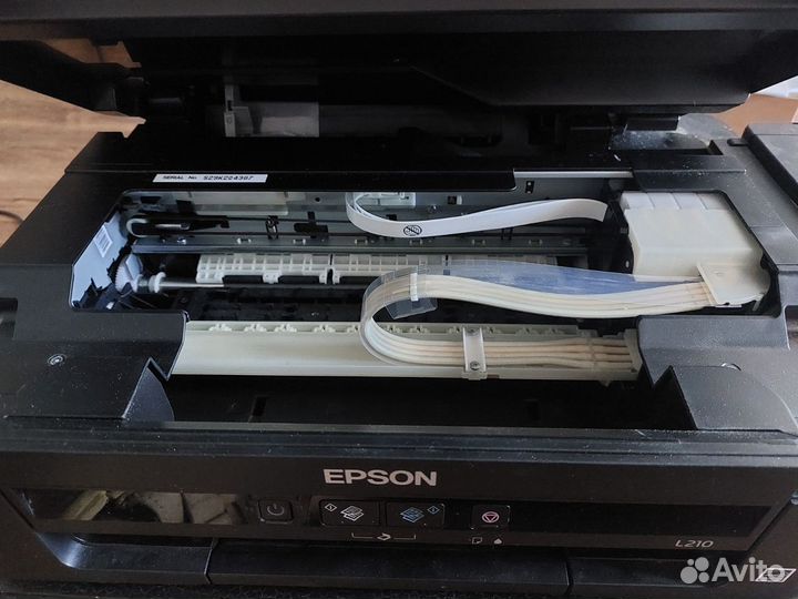 Мфу epson l210