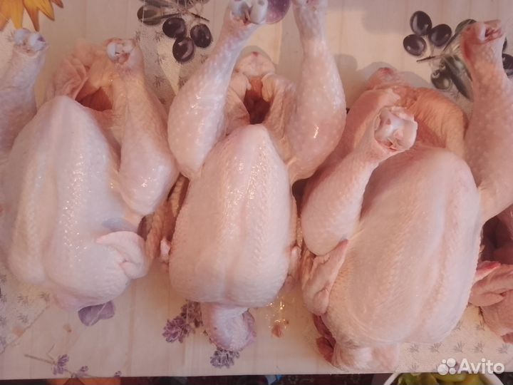 Мясо цыпленка бройлера домашнего