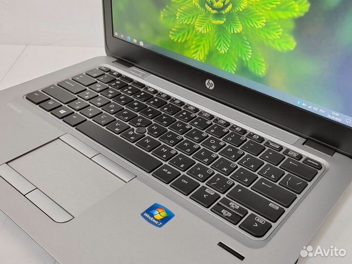 Ноутбук SSD AMD HP EliteBook для игр учебы работы