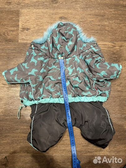 Одежда для собак