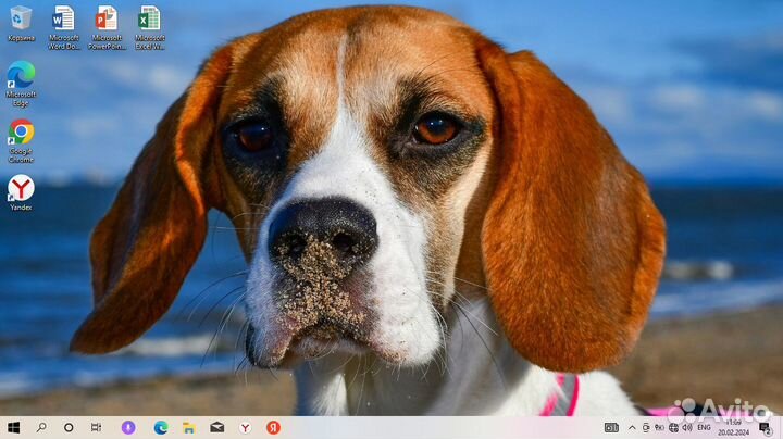 Наш Ноутбук DNS E2/4gb/256SSD/win10