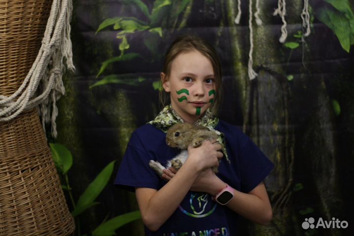 Организация празднования дня рождения