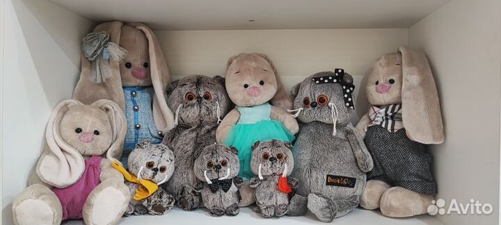 Зайка Ми и кот Басик