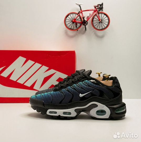 Кроссовки мужские Nike Air Max Tn plus