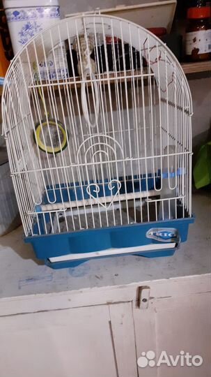 Клетка для попугая бу