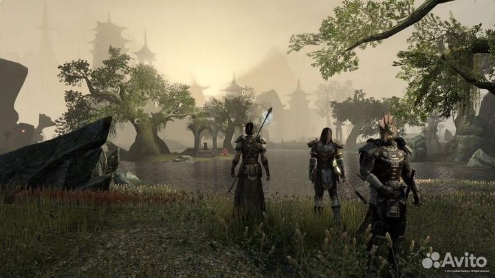 The Elder Scrolls Online PS4