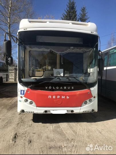 Городской автобус Volgabus Ситиритм 12 GLE, 2017