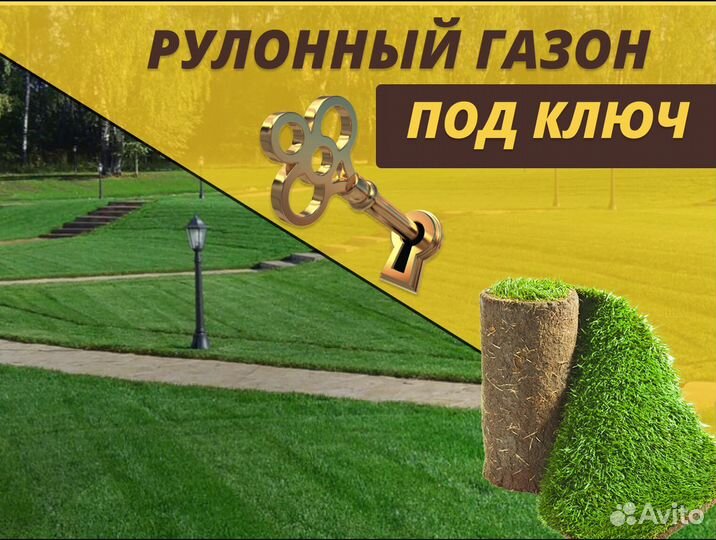 Рулонный газон Стандарт доставка укладка