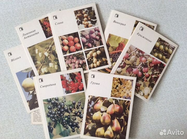 Набор открыток