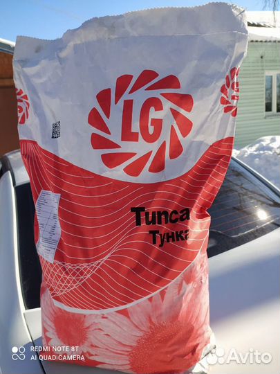 Семена подсолнечника лг тунка