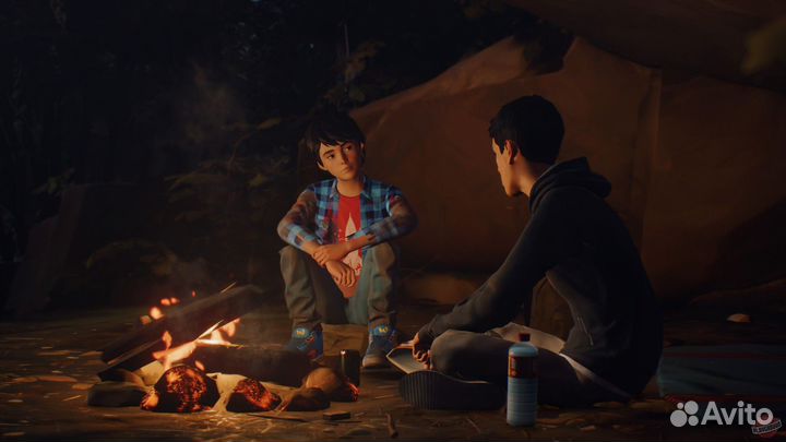Life is Strange 2 (PS4/PS5)
