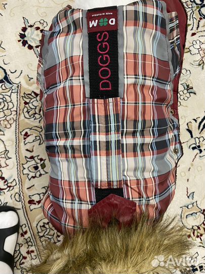 Одежда для собак