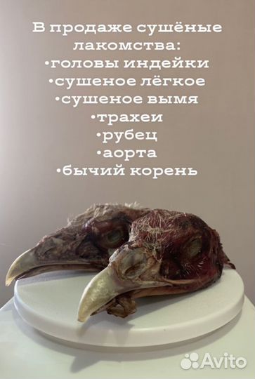 Натуральные лакомства для собак