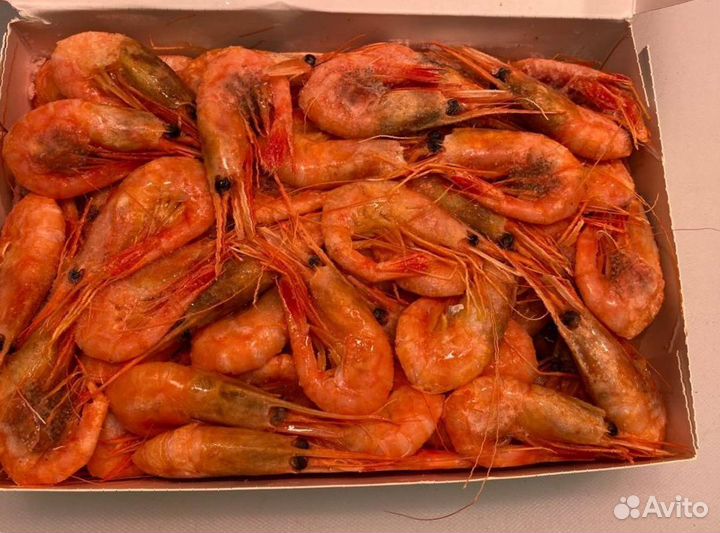 Креветка северная. Оптовые цены