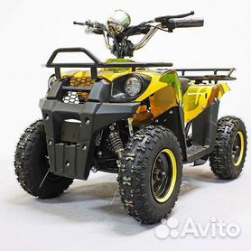 ATV на гусеницах, каково его применение?