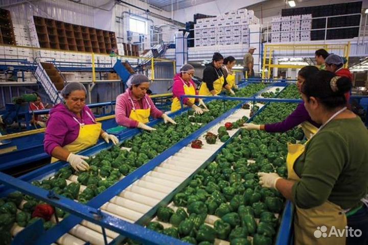 Подсобный рабочий в Тульскую область