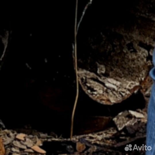 Труба бу 1020х36 мм