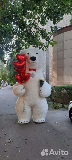 Мишка Воронеж - поздравления