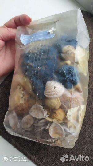 Сухоцветы и ракушки для творчества (набор)