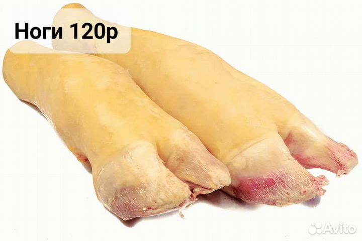 Мясо для собак