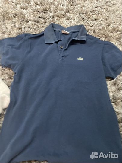 Поло Lacoste