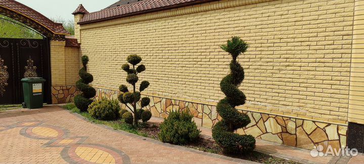 Ландшафтные работы, озеленение