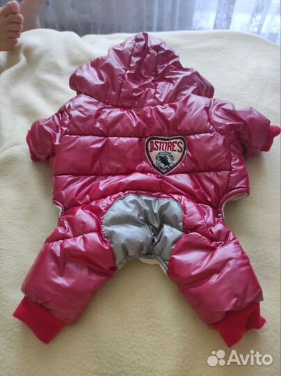 Вещи для животных