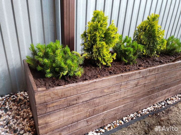 Кашпо, шпалера, для цветов