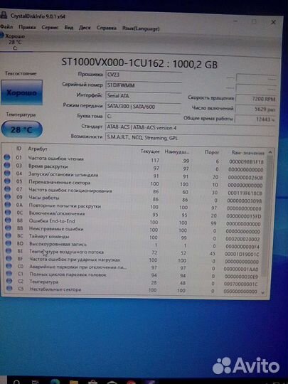 Жесткий диск 1 тб