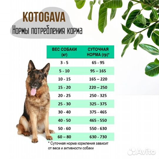 Котогава сухой корм для собак на говядине, 10 кг