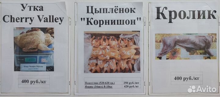 Мясо нутрии