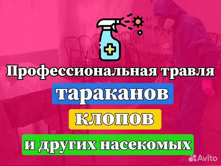 Травля клопов тараканов комаров клещей плесени