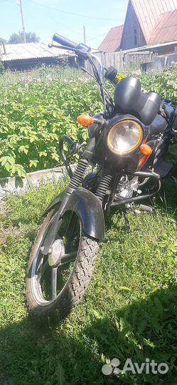 Альфа Vortex.Торг