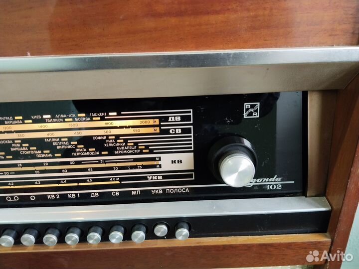 Редкая рабочая 