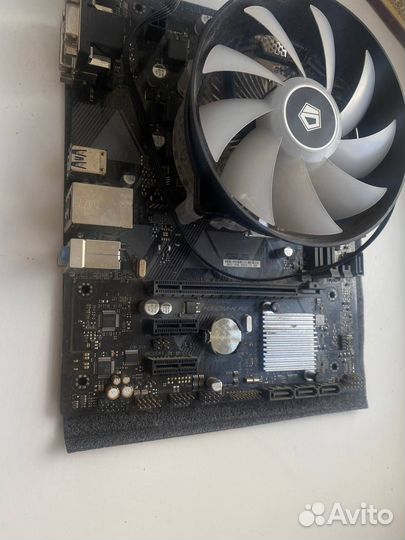 Материнская плата asus prime H310M-K R2.0