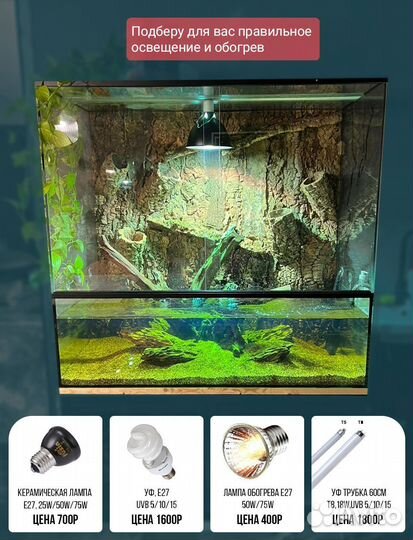 Террариумы любого размера на заказ за 2 дня