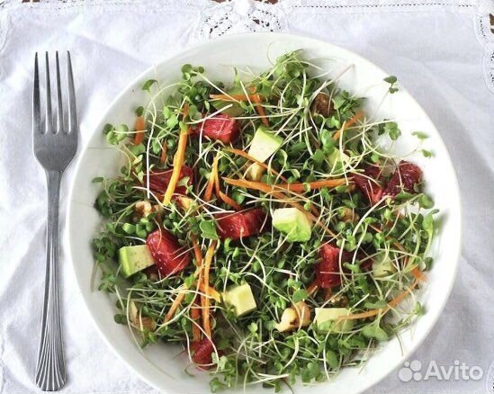 Микрозелень