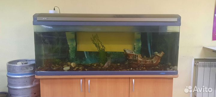 Аквариум