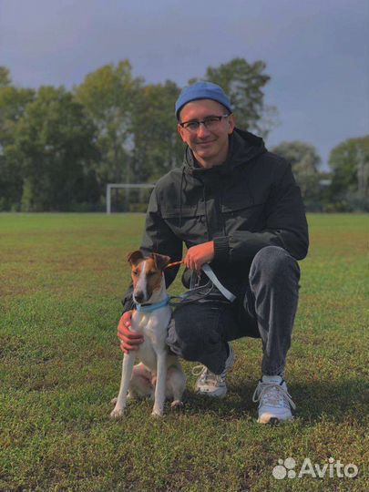 Услуги кинолога