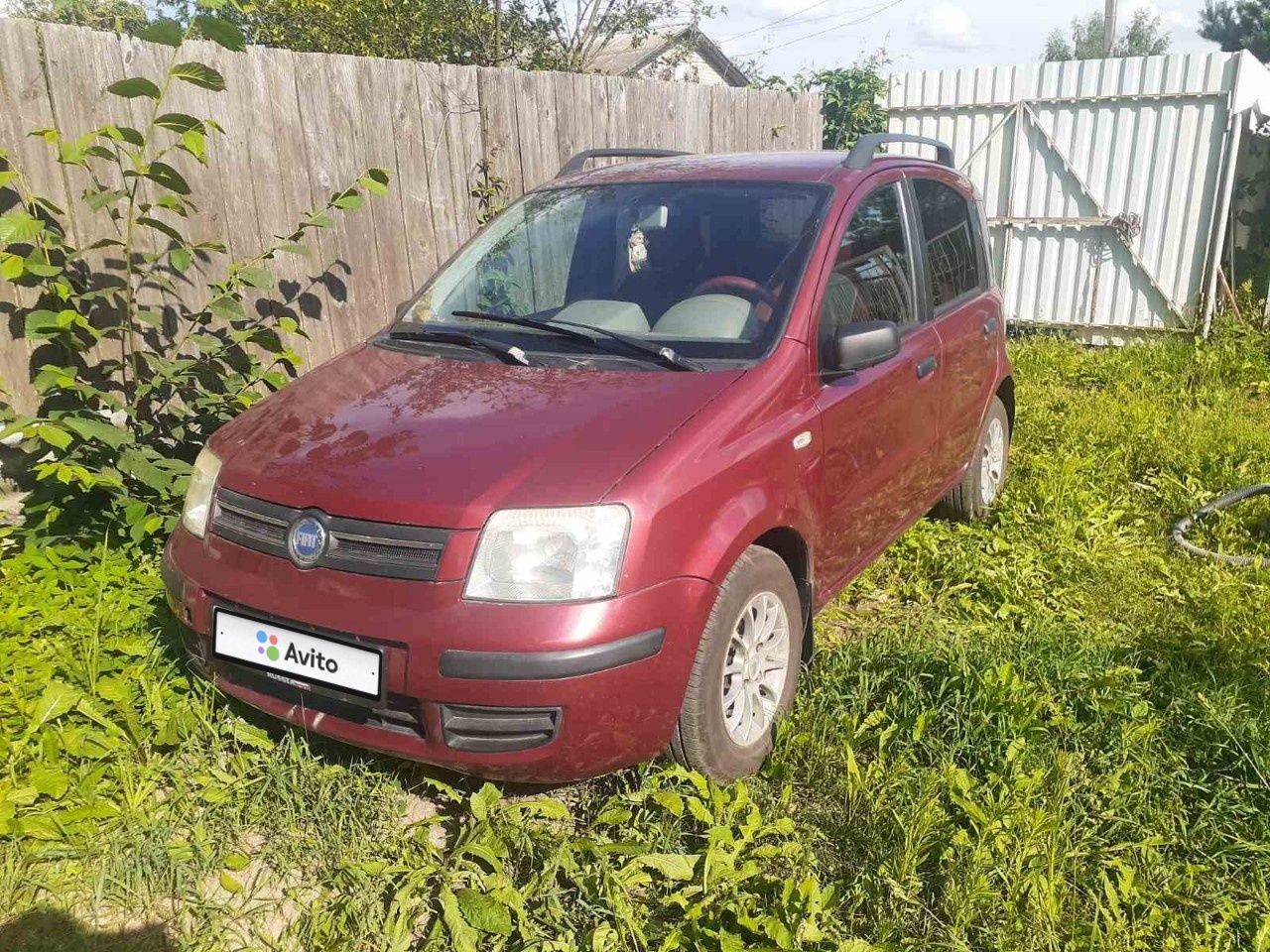 FIAT Panda: фото владельца