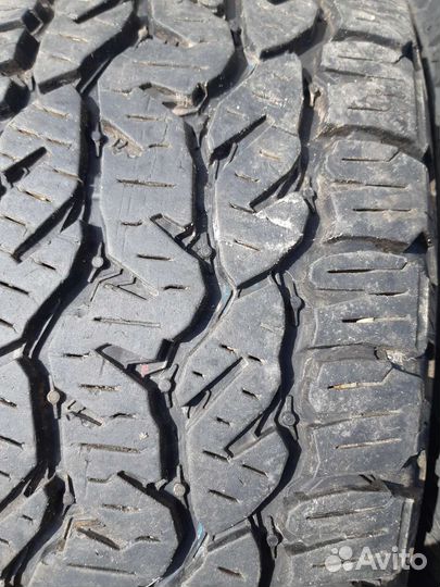 Шины Матадор Изарда