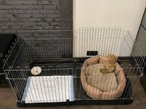 Клетка- вальер для собак мелких пород и кошек