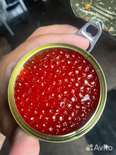 Икра красная 2024