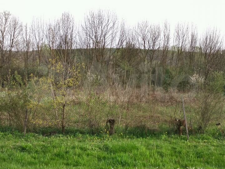 Участок 14,5 сот. (ИЖС)