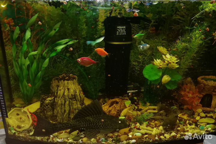 Аквариум