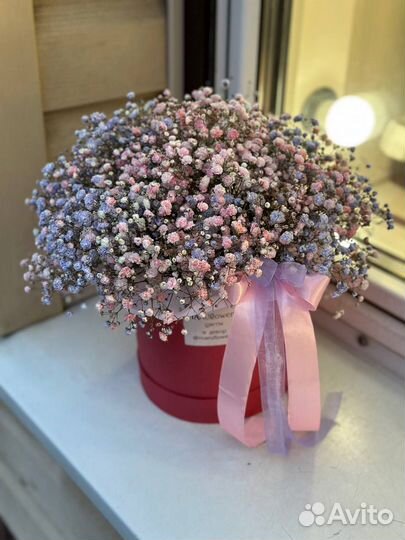 Букеты из гипсофилы, гипсофила, цветы