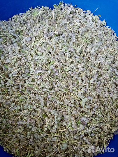 Продам травы для чая